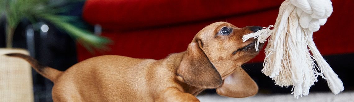 [paste advice page name here]